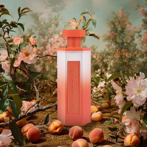 Reef Pesca EDP 200ml Perfume by Reef Perfumes