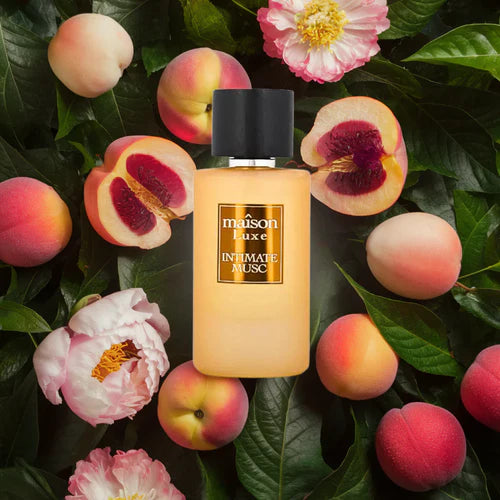Hamidi MAÎSON LUXE INTIMATE MUSC EDP Spray Perfume - 110ML (Inspired by Ex Nihilo - Fleur Narcotique)