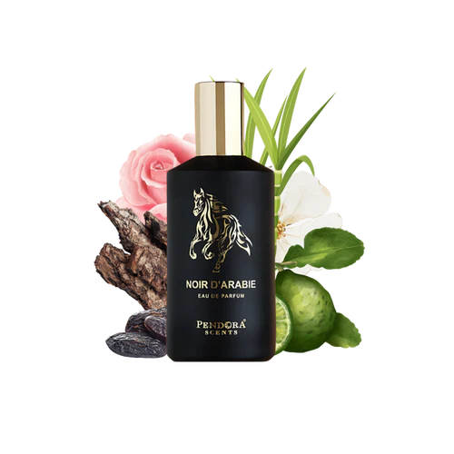 NOIR D'ARABIE PENDORA EDP 100-ml By Paris Corner