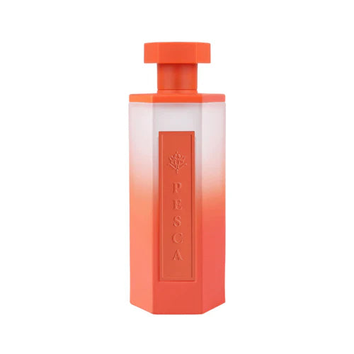 Reef Pesca EDP 200ml Perfume by Reef Perfumes