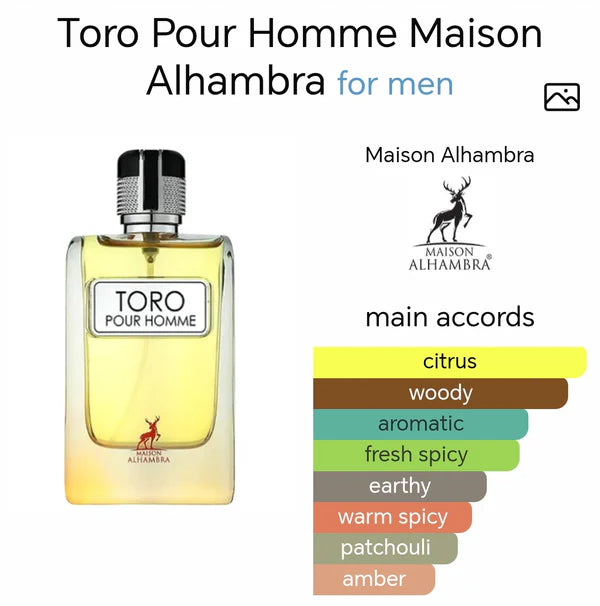 Maison Alhambra Toro Pour Homme EDP Spray 100ml | Inspired by Hermès Terre d'Hermès